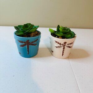 Artificial Succulent Plants In Dragonfly Pots Set Of 2 Decorative Greenery